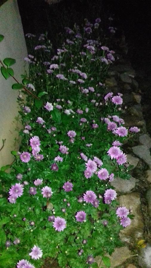הוילה The House In שיפקה מראה חיצוני תמונה